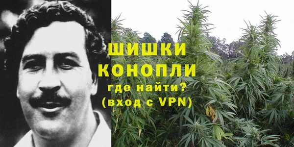 стаф Аркадак