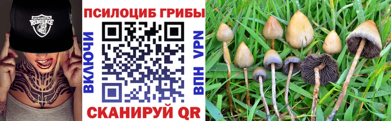 Псилоцибиновые грибы GOLDEN TEACHER  Черноголовка 